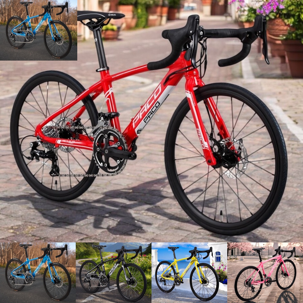 RoadBike PRO SLR 20"
